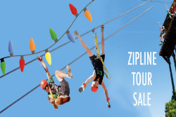 Zipline Sale on Now!